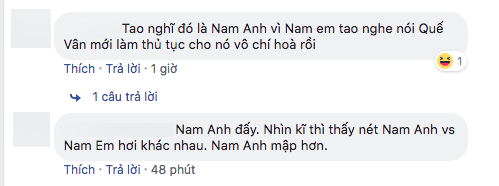 nam em, lệ nam, sao việt